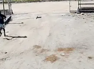 Saída do presídio termina em morte: homem é executado no Eixo Sul