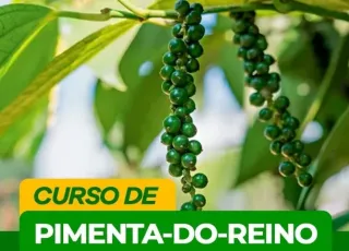 São José de Alcobaça recebe curso de capacitação sobre cultivo de pimenta-do-reino