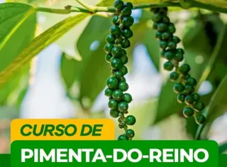 São José de Alcobaça recebe curso de capacitação sobre cultivo de pimenta-do-reino