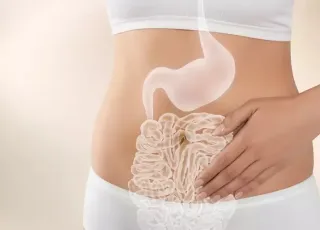 Saúde intestinal e fertilidade: uma conexão complexa  