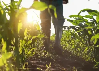 Sebrae abre inscrições para curso Liderar o Futuro Rural que iniciará em Teixeira de Freitas em junho