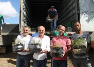 Secretaria de Agricultura de Teixeira de Freitas recebe mudas de mandioca  do Projeto Reniva