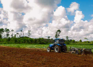 Secretaria de Agricultura faz implantação de mais duas unidades demonstrativas do PAT da Mandiocultura