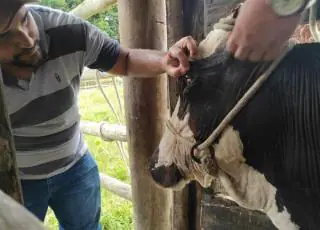 Secretaria de Agricultura realiza visita técnica veterinária e agrícola na comunidade de São Sebastião