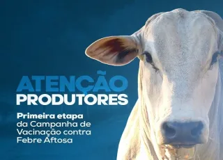 Secretaria de Agropecuária e Pesca de Mucuri inicia 1ª etapa da vacinação contra febre aftosa