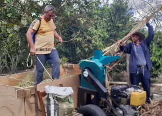 Secretaria de Agropecuária oferece serviços de maquinário para colheita de silagem da agricultura familiar em Mucuri