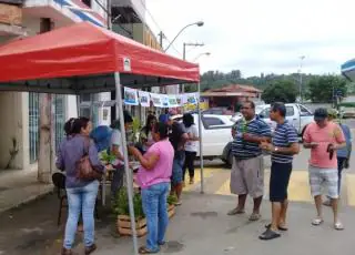 Secretaria de Agropecuária realiza atividades na Semana Mundial do Meio Ambiente, em Medeiros Neto