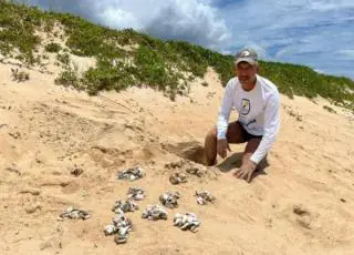 Secretaria de Meio Ambiente alerta população sobre desova de tartarugas na orla de Mucuri