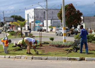 Secretaria de Meio Ambiente realiza trabalho de paisagismo na rotatória do Posto Pioneiro