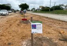 Secretaria de Obras inicia plantio de 50 novas árvores na Avenida Brasil, em Itabatã