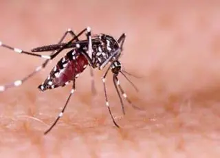 Secretaria de Saúde orienta sobre combate à dengue