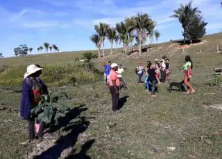 Secretaria Municipal de Agropecuária doa mudas para reflorestamento em Acampamento do MST em Ibirapuã