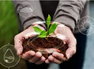 Sema oferece mais de 2 mil vagas em cursos gratuitos de gestão ambiental