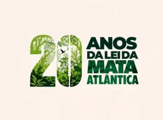 Seminário marca os 20 anos da Lei da Mata Atlântica e debate desafios da proteção do bioma