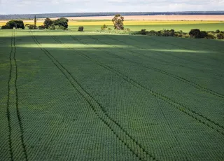 Senado aprova mudança no cálculo do preço mínimo de produtos agrícolas