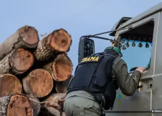 Servidores do Ibama prometem suspender fiscalização ambiental