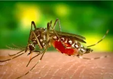 Sesab reforça necessidade de ampliação de horário de atendimento das unidades básicas devido o  aumento dos casos de dengue