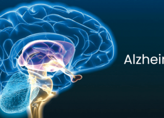 Setembro Lilás traz conscientização sobre o Alzheimer