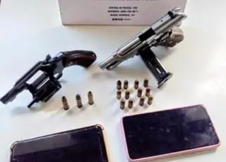 Soint e CAEMA apreendem armas e recuperam ovelhas de raça furtadas em Nova Viçosa