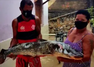 Surubim de 1 metro e meio é capturado por casal de pescadores no Rio Mucuri em Nanuque