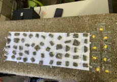 Suspeito foge ao ver polícia e deixa sacola com maconha e ecstasy para trás, em Teixeira de Freitas