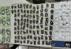 Suspeito tenta fugir da PM, mas é preso com grande quantidade de drogas em Posto da Mata