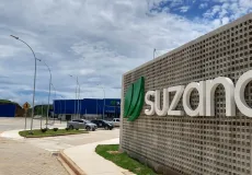 Suzano abre inscrições para o Programa de Trainee 2025