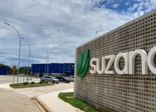 Suzano abre inscrições para o Programa de Trainee 2025