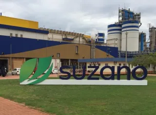 Suzano abre inscrições para Programa de Estágio Superior 2026