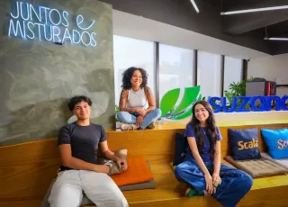 Suzano abre inscrições para Programa de Estágio Superior e Técnico