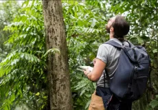 Suzano abre inscrições para vagas de Técnico(a) em Mensuração Florestal em Mucuri e região