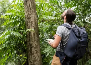 Suzano abre inscrições para vagas de Técnico(a) em Mensuração Florestal em Mucuri e região