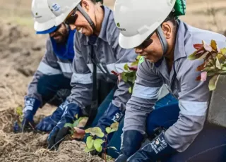 Suzano abre novas vagas de emprego em Mucuri, Itabatã e Posto da Mata