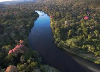 Suzano alcança 975 mil hectares de áreas destinadas à conservação