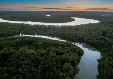 Suzano avança com corredores ecológicos entre a Bahia e o ES