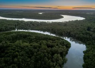 Suzano avança com corredores ecológicos entre a Bahia e o ES