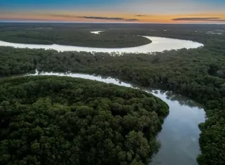 Suzano avança com corredores ecológicos entre a Bahia e o ES
