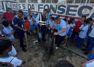 Suzano celebra o Dia da Árvore com educação ambiental e plantio de ipês amarelos na Bahia e no Espírito Santo