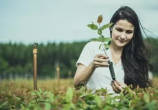 Suzano destaca melhorias socioambientais com metas concretas e impacto positivo no meio ambiente