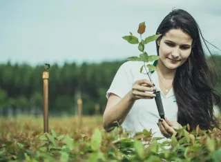 Suzano destaca melhorias socioambientais com metas concretas e impacto positivo no meio ambiente