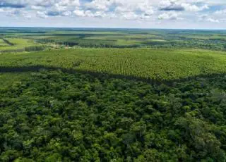 Suzano faz captação com menor taxa da história no Brasil para títulos com prazo de dez anos