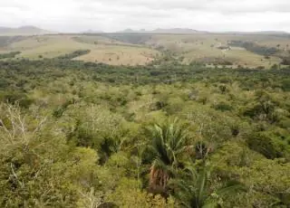 Suzano identifica novas Áreas de Alto Valor de Conservação (AAVCs) no Espírito Santo e amplia outras na Bahia