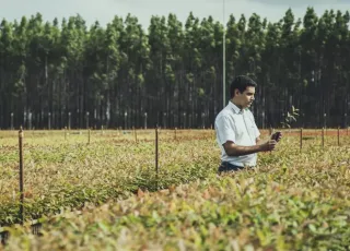 Suzano lança desafio para fornecedores em busca de alternativas ao consumo do plástico