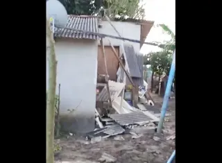 Tarde de pânico: búfalos brigam, fogem, destroem garagem e espalham medo em Nova Tribuna; veja vídeos