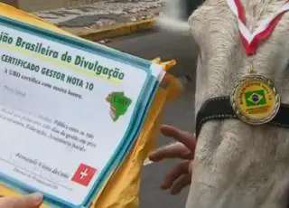 TCM vai apurar compra de diplomas de mérito por prefeitos e vereadores