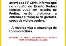 Teixeira de Freitas - Polícia Militar divulga restrições para o Pedrão Elétrico 2025 iisando a segurança dos foliões