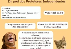 Teixeira: ONG Nossa Arca promove rifa solidária para ajudar animais abandonados