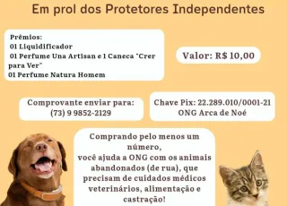 Teixeira: ONG Nossa Arca promove rifa solidária para ajudar animais abandonados