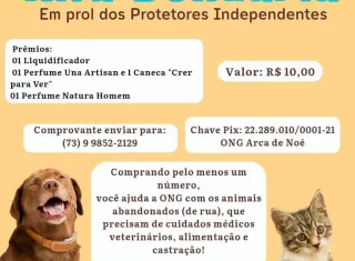 Teixeira: ONG Nossa Arca promove rifa solidária para ajudar animais abandonados