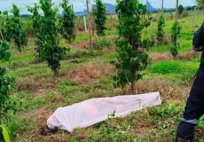 Trabalhador rural morre após choque elétrico em área rural de Itamaraju